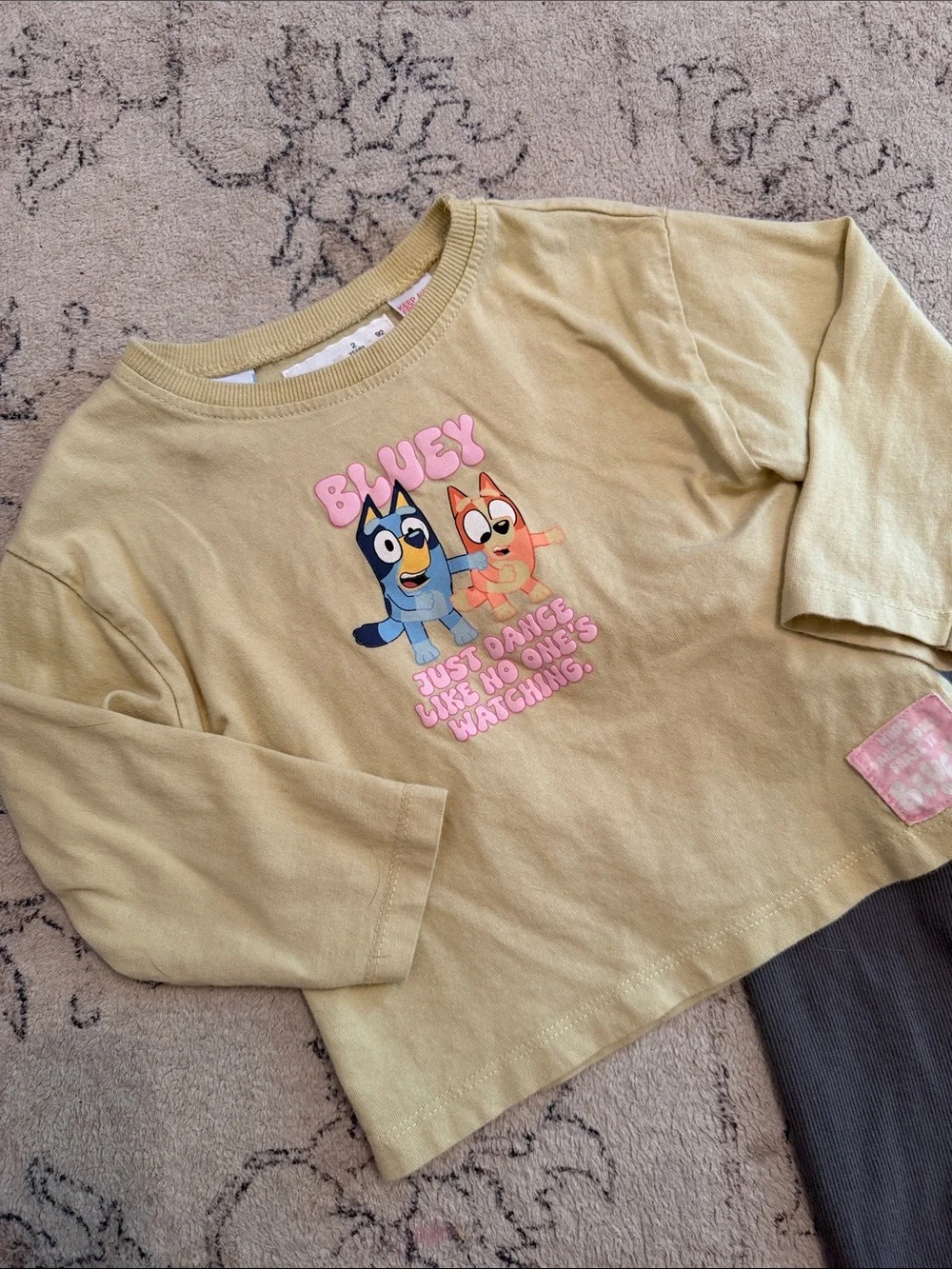 Zara X Bluey Set